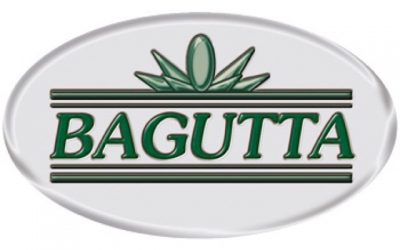 logo bagutta